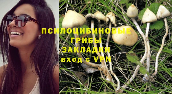 дживик Балахна